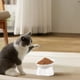 thumbnail image 4 of Cuencas de Comida para Gatos Cuenca de Comida para Gatos de Gran Capacidad, Cuenca de Comida para Mascotas, Cuenca de Bebida para Gatos Linda, Proteger el Cuello Del Gato Puede Comida para Gatos, 4 of 6