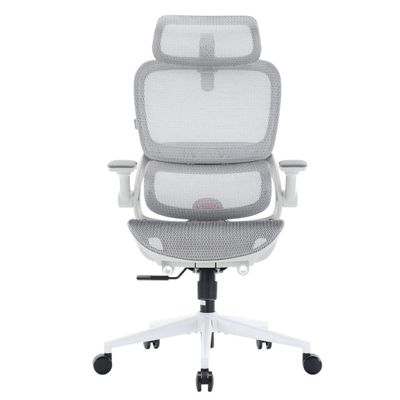 Sihoo B100 Pro Ergonomic Office Chair, Adaptive Elastic Lumbar & 4D Arms & 3D Ultra-Wide Headrest Mesh Chair, Teen, Breathable Home Office & Gaming, White