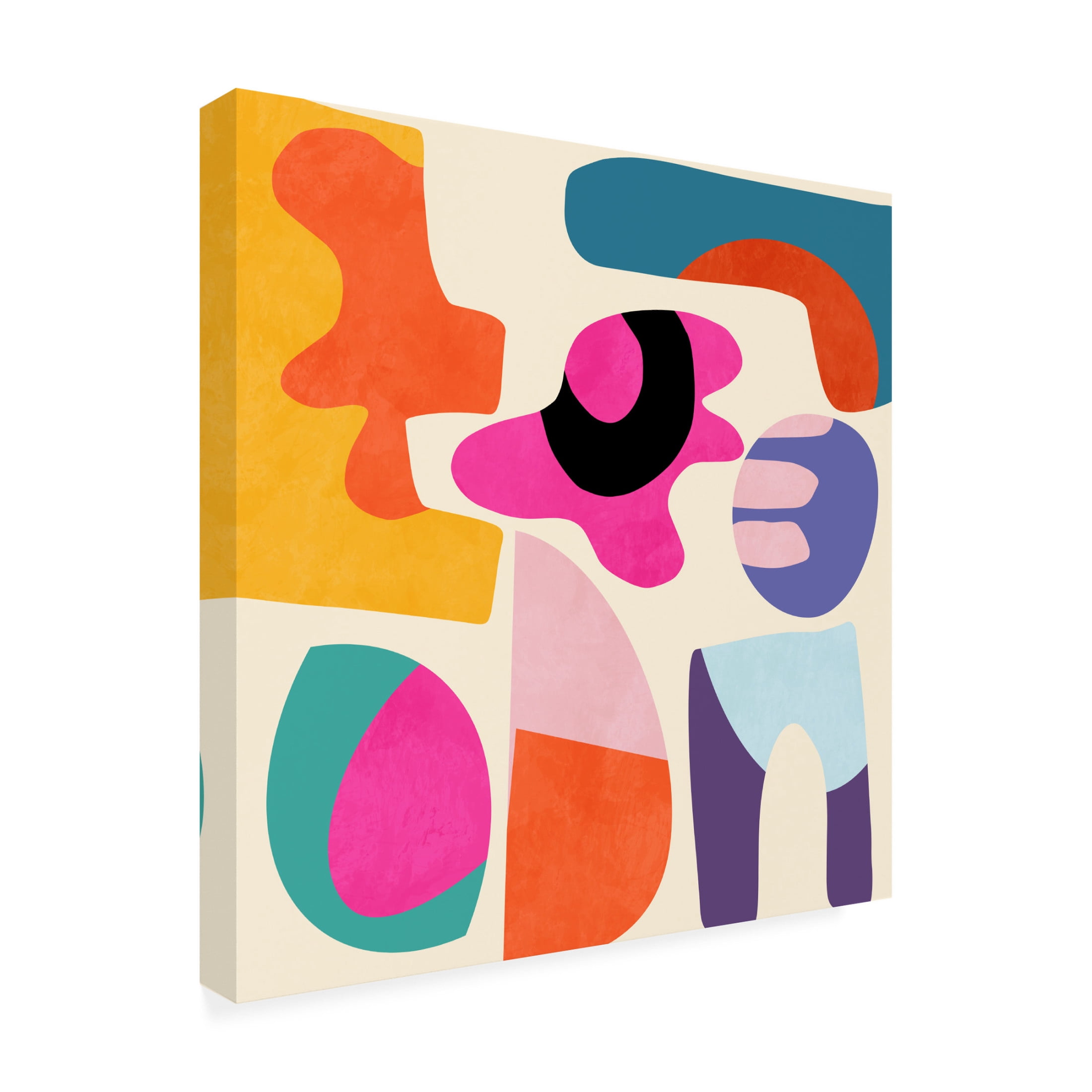 Trademark Fine Art Ana Rut Bre Pattern3 Mid Bunt 9 Canvas Wall Art