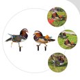 thumbnail image 3 of BESTYASH 2Ud Stakes Decorativos Acrílicos Para Jardín Con Doble Multicolor Para Exteriores, 3 of 8