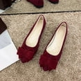 thumbnail image 5 of Women's Dress Flats Cute Pointed Toe Bowknot Flats Comfortable Ballet Flats Casual Slip On Flat Shoes, 5 of 6