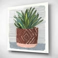 thumbnail image 2 of Epic Art 'Potted Agave II' by Stellar Design Studio, Acrylic Glass Wall Art, 12"x12", 2 of 8