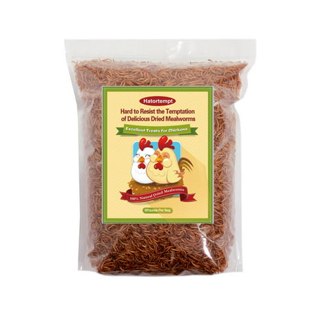 5 Lbs Dried Mealworms for Wild Bird Chicken Fish
