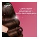 thumbnail image 3 of Shampoo Caprice Especialidades Brillo de Cristal Con Micro Cristales de Turmalina 750 ml, 3 of 5