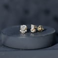 thumbnail image 5 of Rosec Jewels Lab Created Diamond Dog Paw Stud Earrings - EF-VS Quality - Ready to Gift with Jewelry Box, 14K Yellow Gold, 5 of 9