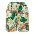 thumbnail image 5 of Women's High Waisted Baggy Shorts Summer Comfy Beach Elastic Waist Floral Print Casual Summer Jean Shorts with Pockets S-3XL, 5 of 8