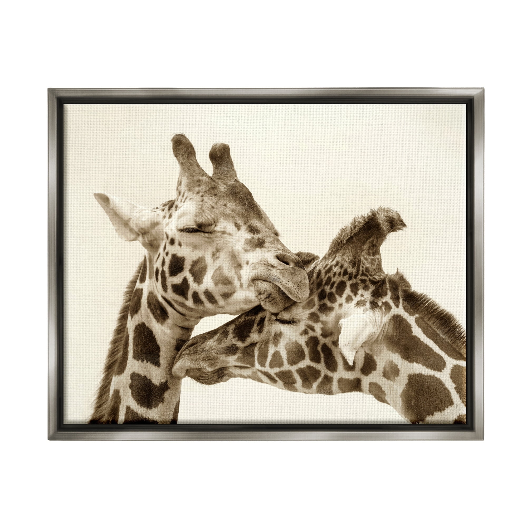 Stupell Industries Sweet Cuddling Giraffes Sepia Wildlife Photography Portrait Photograph Luster Gray Floating Framed Canvas Print Wall Art, Design by Carrie Ann Grippo-Pike