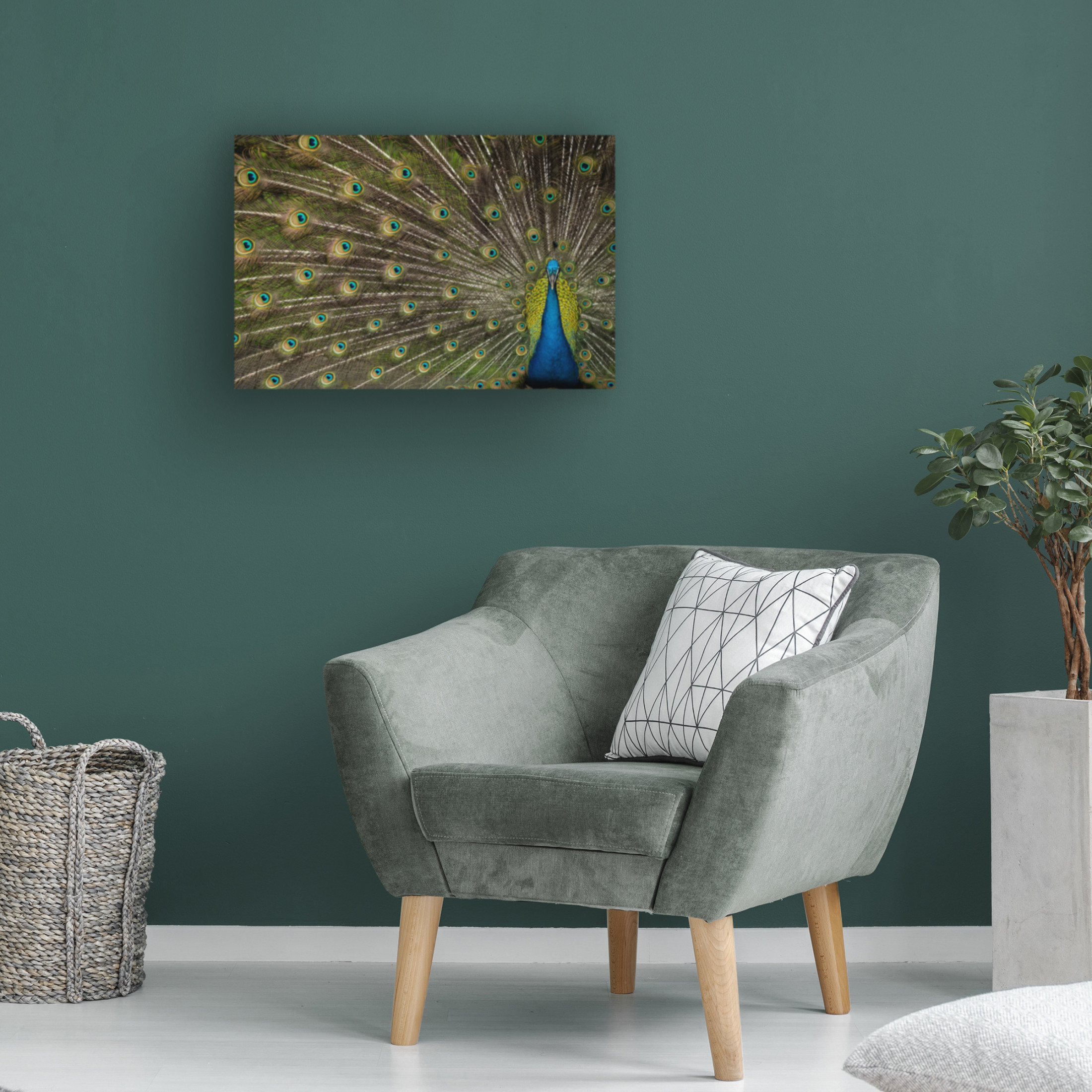 Trademark Fine Art Debbie Hunt  Wild Beauty Canvas Wall Art