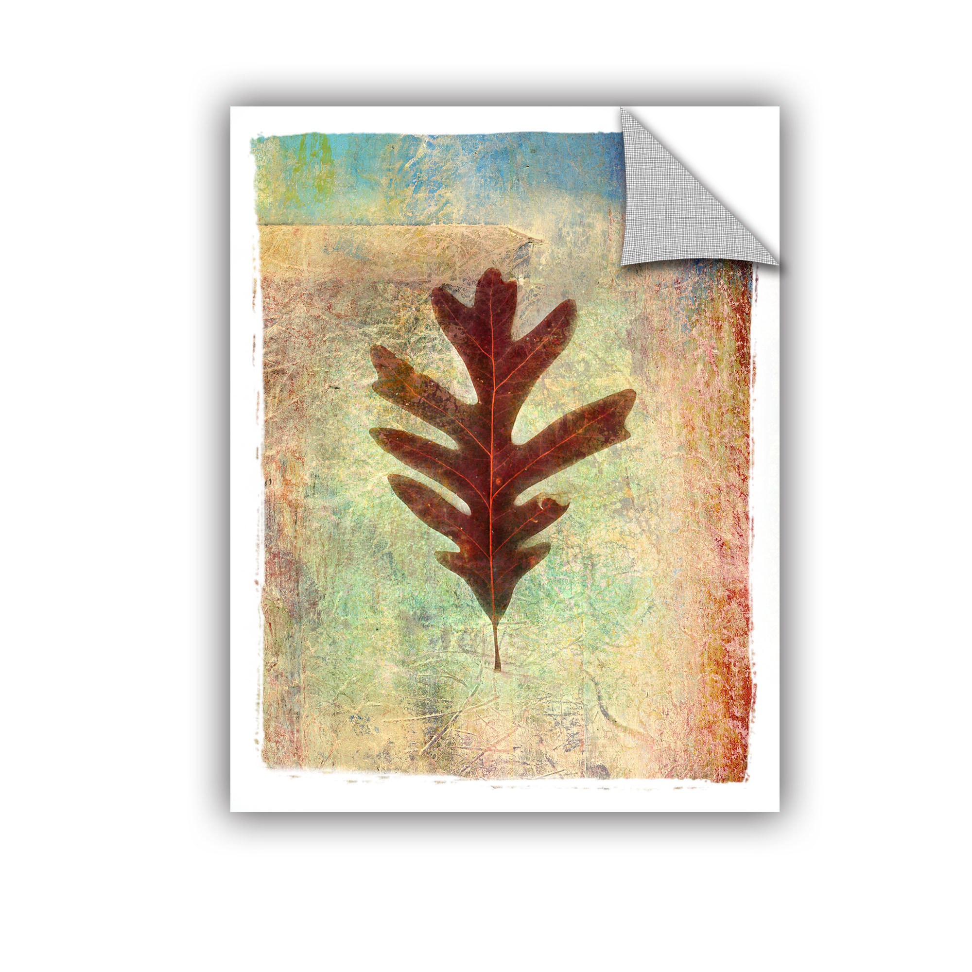 ArtWall Elena Ray "Leaf VI" Art Appeals Removable Wall Art