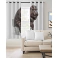 thumbnail image 2 of Funny Hippos Blackout Curtains for Bedroom Living Room Darkening Curtains 63 Inches Long Cute Art Fun Lovely Animals on Toilets Window Curtain 2 Panels Set Window Treatment Grommet Drapes 52"x63", 2 of 9