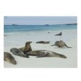 thumbnail image 1 of Ecuador Cutting Board, Galapagos Island Sea Lions at Sandy Beach Seascape Nature Photo Animal Travel, Decorative Tempered Glass Cutting and Serving Board, in 3 Sizes, by Ambesonne, 1 of 2