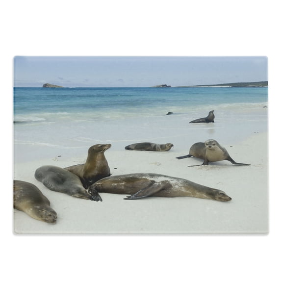 Ecuador Cutting Board, Galapagos Island Sea Lions at Sandy Beach Seascape Nature Photo Animal Travel, Decorative Tempered Glass Cutting and Serving Board, in 3 Sizes, by Ambesonne