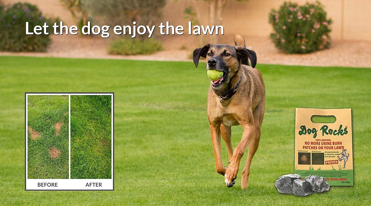 How To Stop Burn Marks On Lawn From Dog
