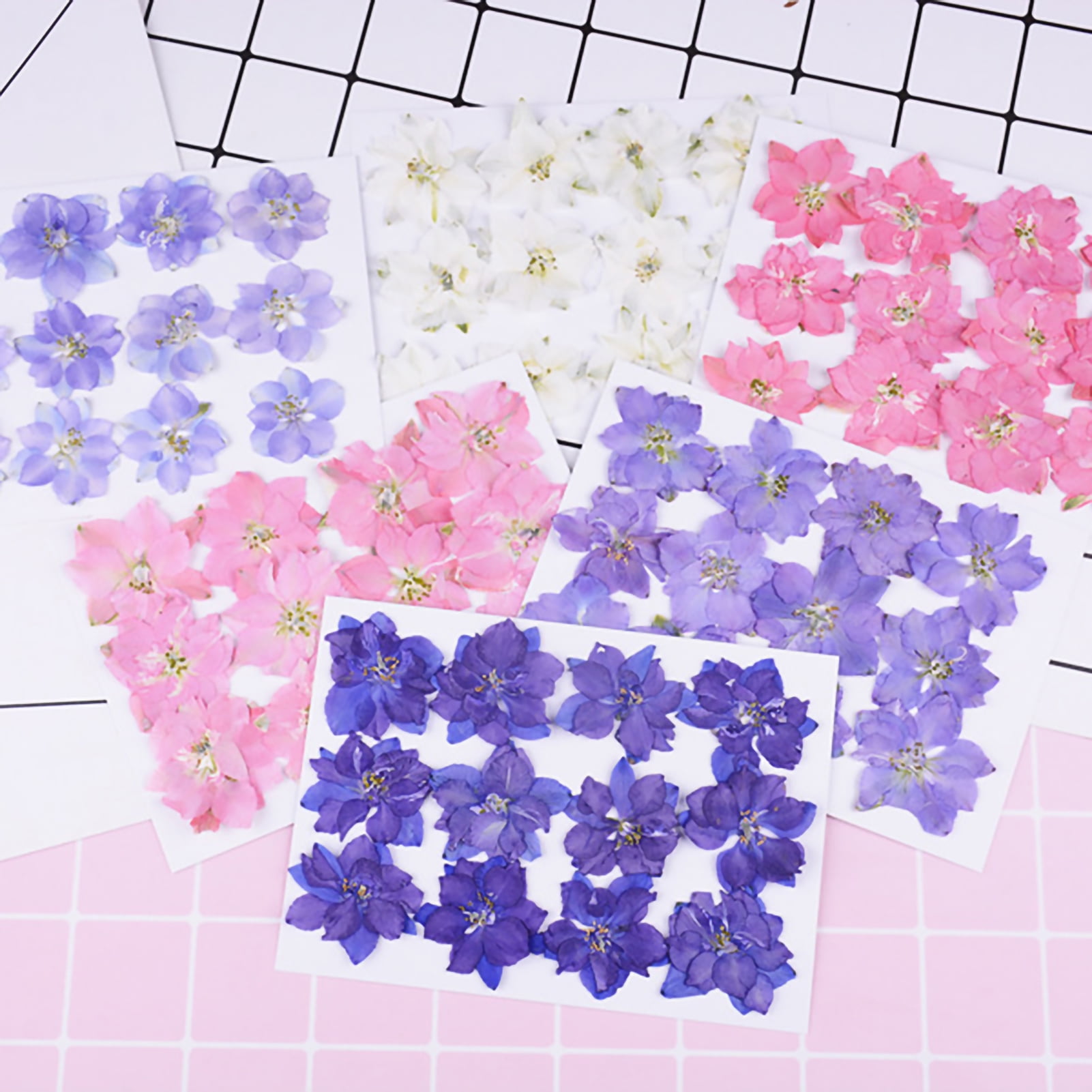 XWQ 12Pcs Dried Flowers Epoxy Resin DIY Creation Longlasting Dried