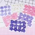 thumbnail image 2 of Flmtop 12Pcs Dried Flowers Epoxy Resin DIY Creation Long-lasting Dried Pressed Flowers for Bookmark, 2 of 11