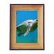 thumbnail image 1 of Marco de imagen Unbranded Organismo marino de Turtle Ocean, 1 of 4