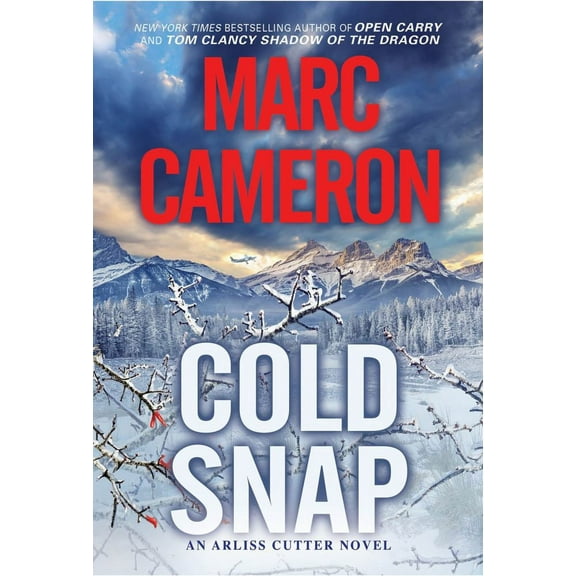 Marc Cameron: Cold Snap: An Action Packed Novel of Suspense (Paperback)