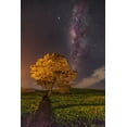thumbnail image 2 of Liza, Lety 17x24 Gold Ornate Wood Framed with Double Matting Museum Art Print Titled - milky way, 2 of 4