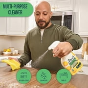 Mean Green Ready-To-Use Multi-Purpose Cleaner, 32oz Spray - 394133