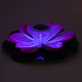 thumbnail image 3 of UrbanEden Solar Pond Pool Lights, Multicoloured Light LED Color Changing Flower Waterproof Floating Lamp For Pool Ornamental, 3 of 8