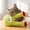 B, variant on Pawsible Cat Toys for Indoor Cats, Interactive Dental Cat Chew Fun Catnip Pillow, Soft Plush Teeth Cleaning Teething Kicker for Cats to Keep Them Busy