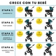 thumbnail image 2 of Carriola Sistema De Viaje Safety 1st Grow & Go Flex verde, 2 of 17