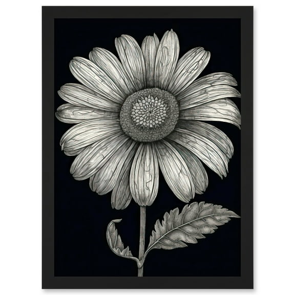 Daisy Flower Bloom Black and White Pencil Drawing Artwork Framed Wall Art Print A4