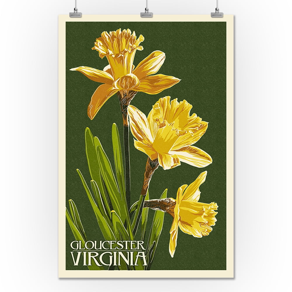 Gloucester, Virginia Daffodil Letterpress Lantern Press Poster