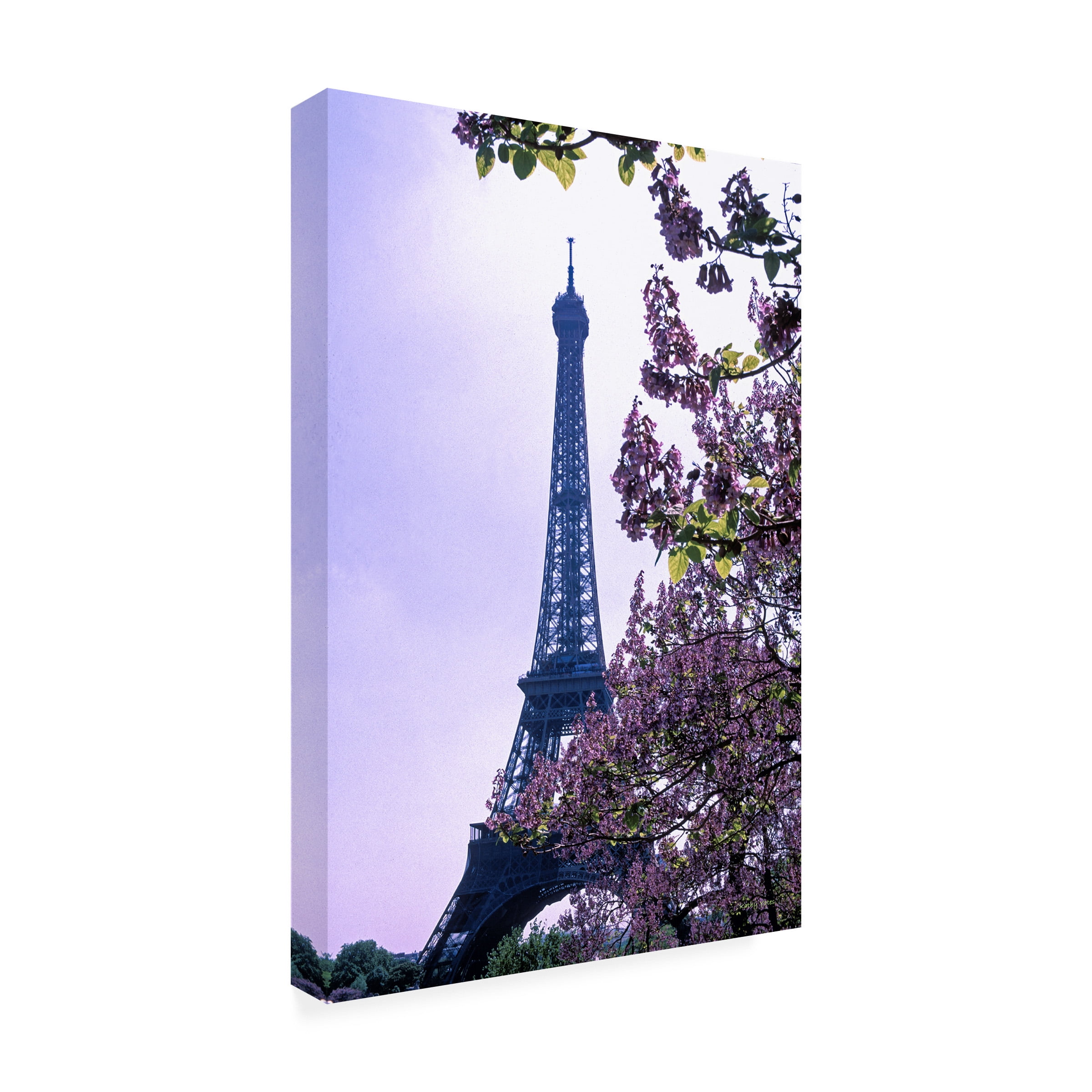 Kathy Yates 'Eiffel Tower with Blossoms' Outdoor Canvas