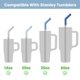thumbnail image 6 of Tomorotec 6-Pack Reusable Stainless-Steel Straws with Silicone Tips, 3 Sizes Compatible with Stanley Tumblers 40OZ 30OZ 20OZ 14OZ, Dishwasher Safe, Includes 2 Cleaning Brushes (Ocean Gradient), 6 of 9