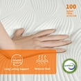 thumbnail image 3 of EE-3100PT14H ESHINE Adjustable Bed Frame, with Massage King, 3 of 5