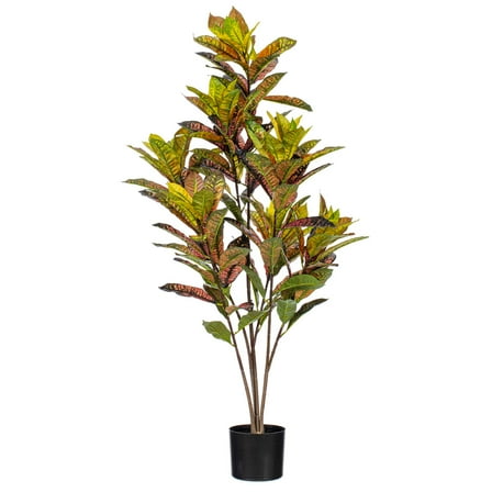 48" Croton Potted Plant