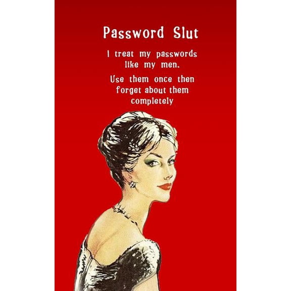 Password Slut: Internet security password with 312 sections for internet passwords for addresses and usernames, humorous, (Paperback)
