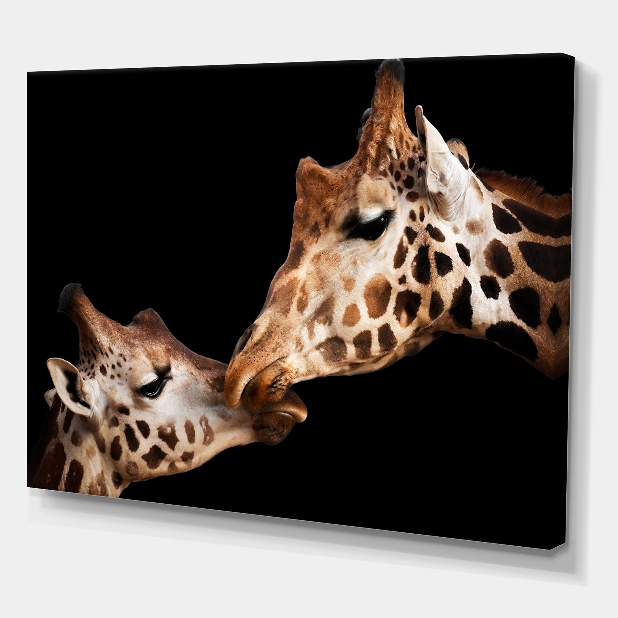 Designart ' Close UP Of Two Giraffes Kissing II ' Farmhouse Canvas Wall Art Print