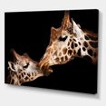 thumbnail image 3 of Designart ' Close UP Of Two Giraffes Kissing II ' Farmhouse Canvas Wall Art Print, 3 of 4