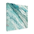 thumbnail image 4 of Trademark Fine Art 'Silver Springs II Blue Green' Canvas Art by Albena Hristova, 4 of 4