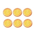 thumbnail image 1 of POINTERTECK Lemon slice simulation fruit fake fruit diameter artificial plastic realistic photography props, 1 of 18