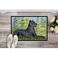 thumbnail image 2 of Carolines Treasures SS8682MAT Paillasson Intérieur Extérieur 18 x 27 Po. Cane Corso, 2 of 4