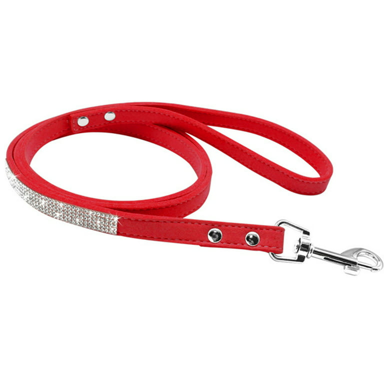 Pet Collars & Leashes 