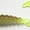 White, variant on Kalin's Freshwater 6 in. Mogambo Soft Plastics Fishing Grub, White, Lakes Offshore, 10pk