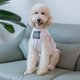 thumbnail image 2 of «Chaleco de verano para perros de razas grandes | Traje ligero de pelo dorado | Ropa fresca para perros medianos y grandes», 2 of 2