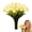 White, variant on Radiant Romantic Tulip Light, Twinkling Tree Tulips, Led Artificial Flowers Ambient Night Lamp, Gentle Lighting, For Bedroom Bedside Decor