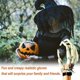 thumbnail image 3 of Articulated Finger Extensions, Halloween Articulated Fingers, 3D Printed Flexible Finger Extensions Fits All Finger Sizes Articulated Fingers White, 3 of 4