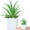 L, variant on Plants Artificial Potted Faux Plant In Square White Pots For Home Bathroom Desk Shelf Decor
