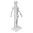 thumbnail image 3 of Modelo de meridianos de acupuntura para mujeres con base y juego de agujas de acupuntura., 3 of 14