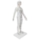 thumbnail image 2 of Acupuncture Meridians Model, PVC Acupuncture Model White  For Medical School For School For Teaching For Classroom ANGGREK Acupuncture Needle Model Set, 2 of 8