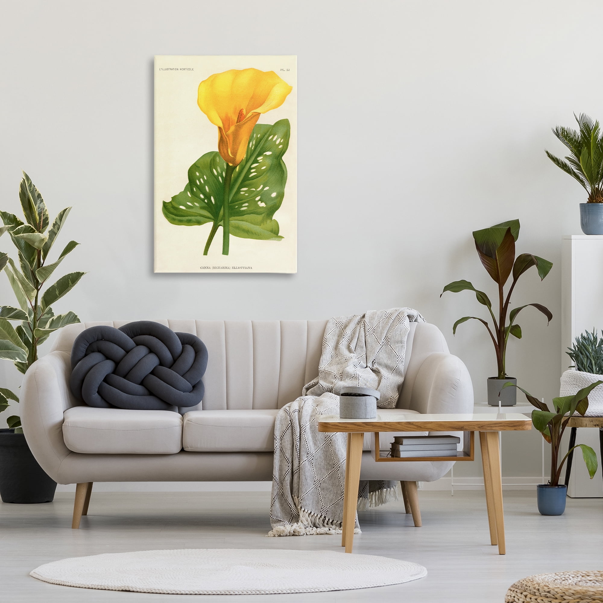 Stupell Industries Yellow Canna Lily Canvas Wall Art, design by Print Collection