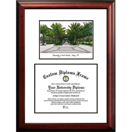 Campus Images FL989V-1411 11 x 14 in. University of South Florida Scholar Diploma Satin Mahogany (Best Gardens In South Florida)