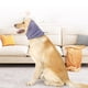 thumbnail image 3 of Sudadera Calmante para Perros para Aliviar La Ansiedad | Capucha Cálida de Invierno con Cancelación de Ruido | Correas Ajustables para Perros Pequeños, Medianos y Grandes, 3 of 7