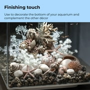 biOrb Natural Starfish Set